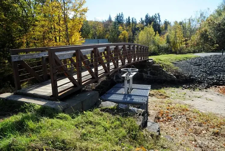 Ashfield Lake Dam vegetation removal study planned for spring