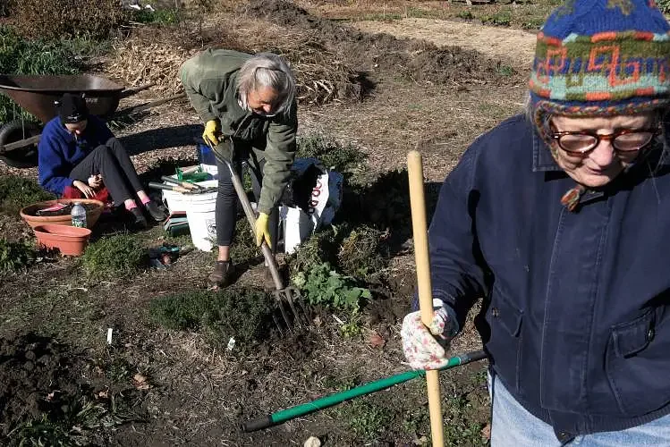 Out & About: Earth Day in the Upper Valley; A week of eco-friendly activities and events