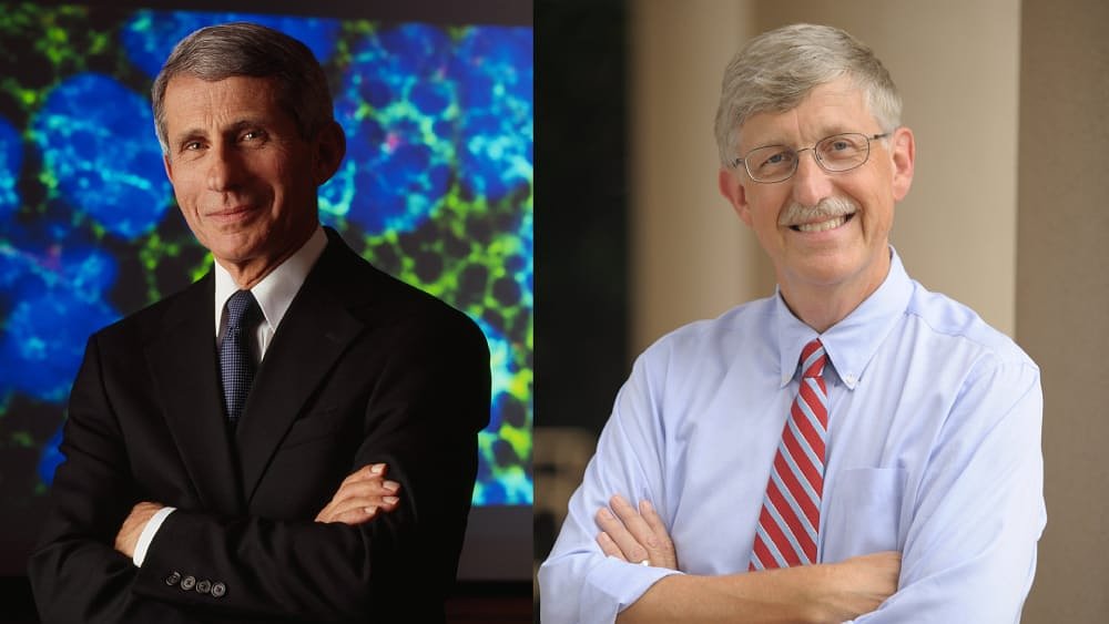 Francis Collins and Anthony Fauci emailed about whether NIH funded Wuhan lab before secret call