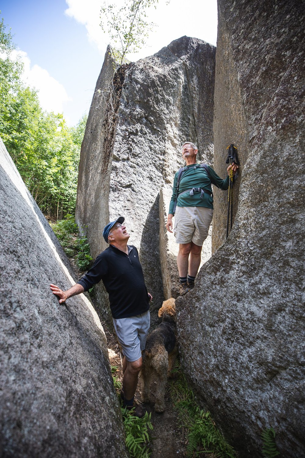High Peaks Alliance will launch free monthly nature series