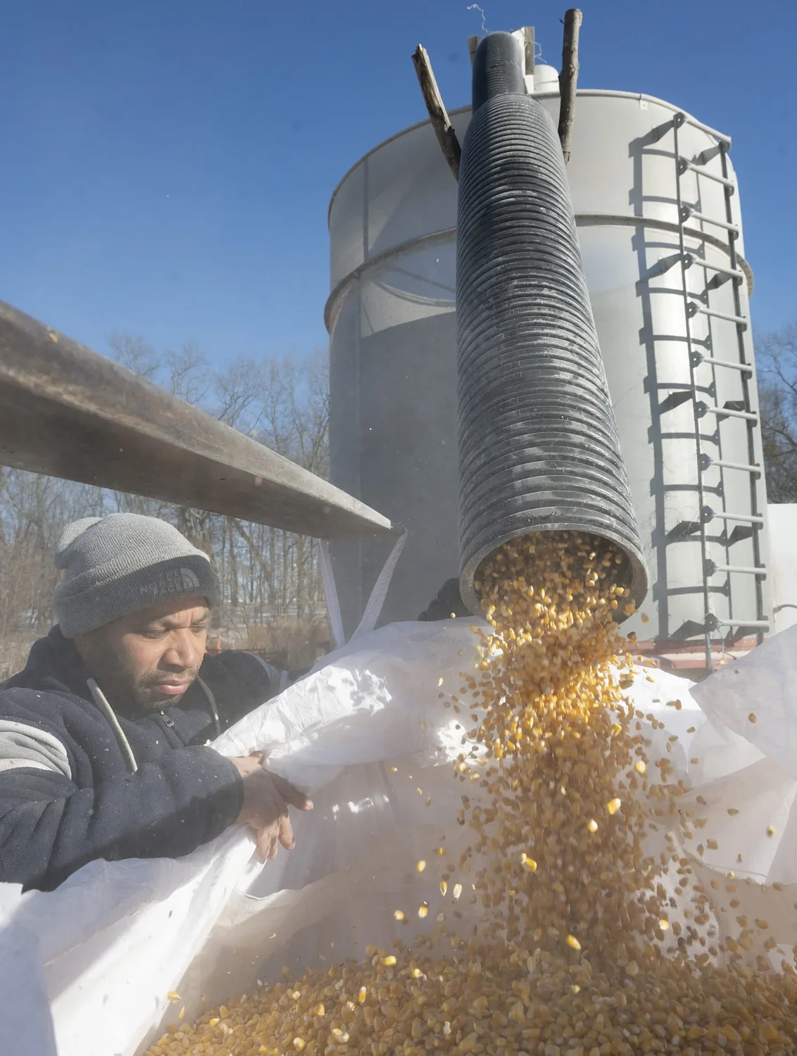 Photos: Corn master