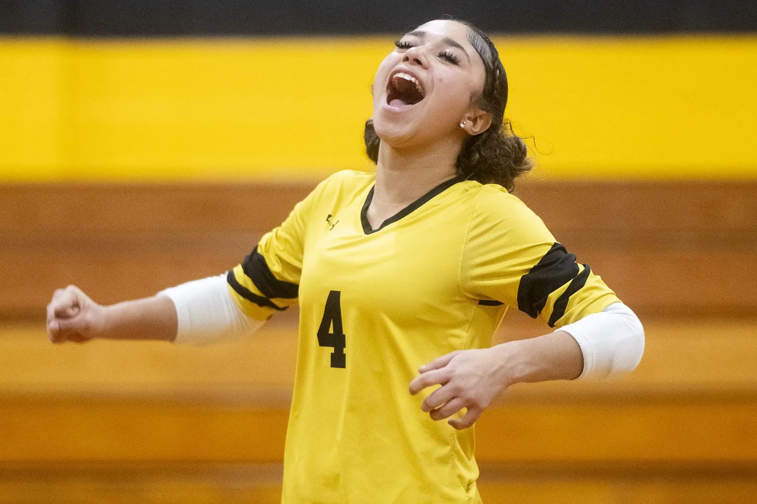 Girls volleyball: Smith Voc surpasses Norfolk County, moves on to Div. 5 Round of 8