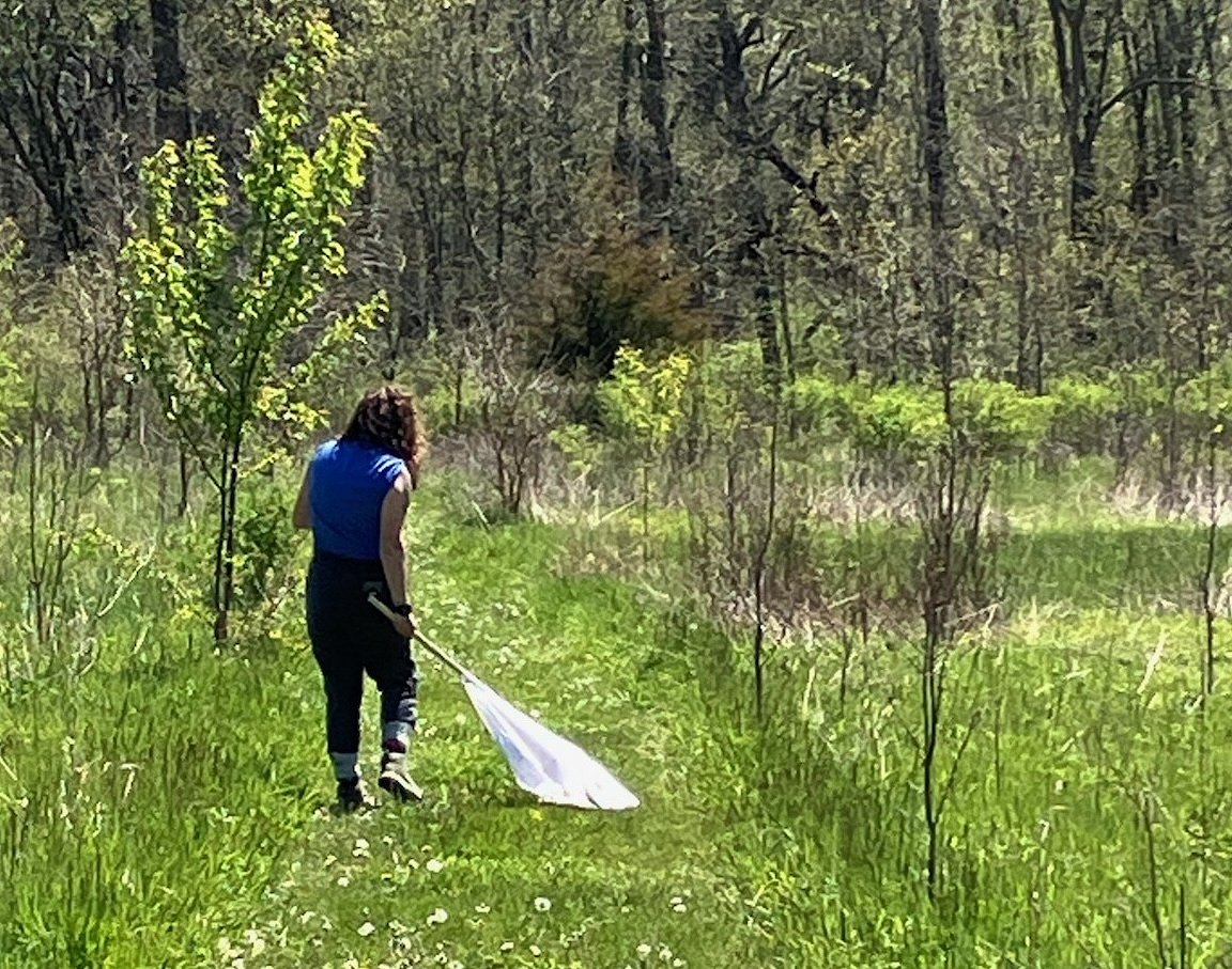 Kendall County at work monitoring mosquitoes, ticks to prevent disease spread