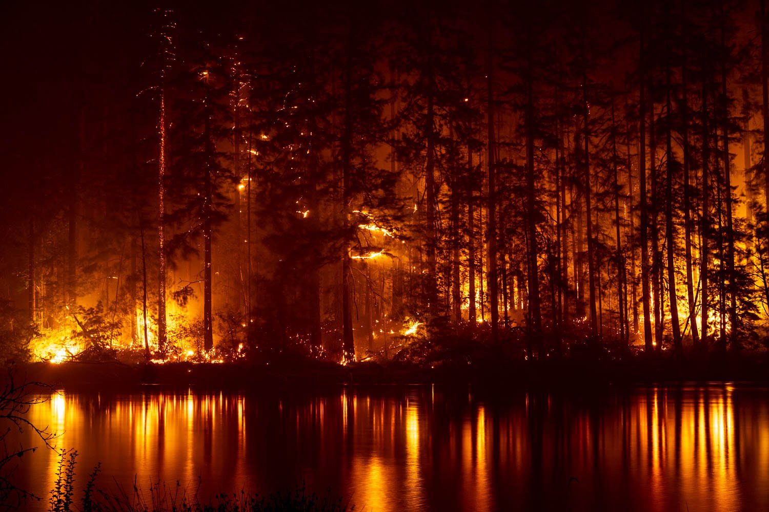 County advances $2 million fund to help businesses harmed by Holiday Farm Fire