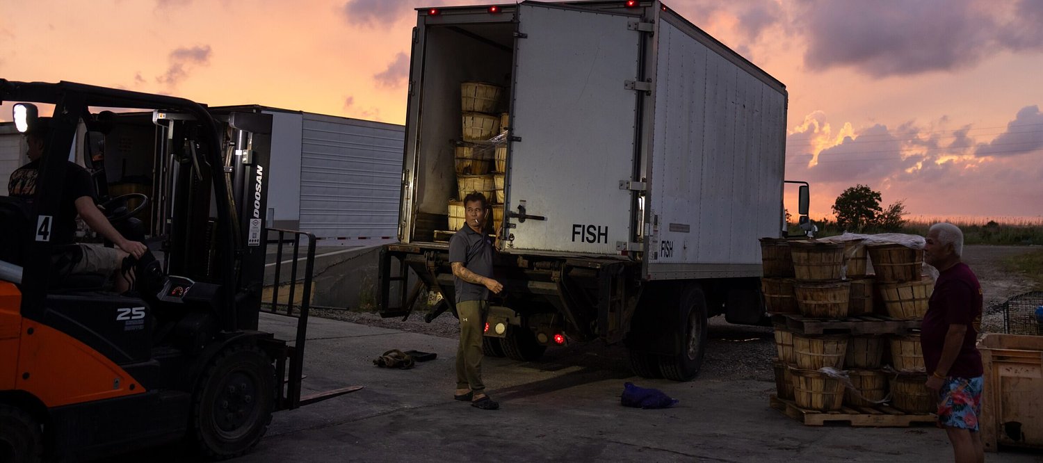 Odyssey of the crab: How Louisiana feeds Maryland’s frenzy