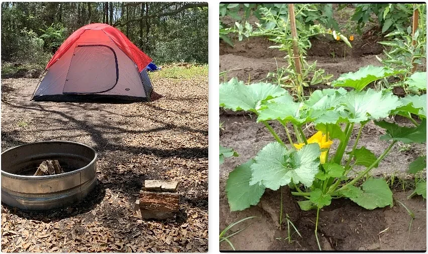 Morning Glory Homestead: Cultivating history, heritage and hospitality