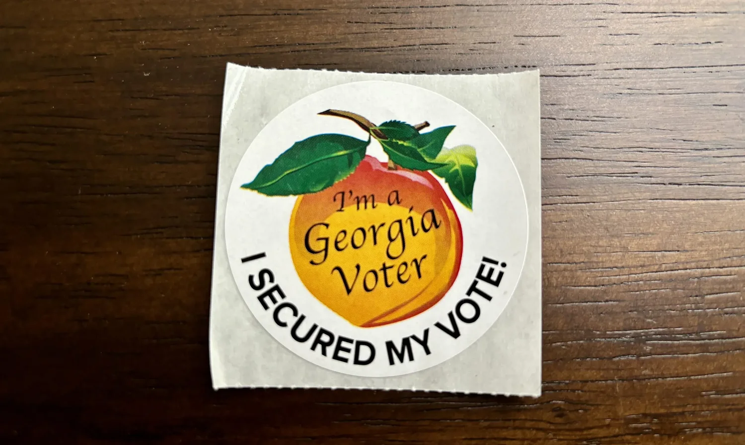 Georgia voters head back to the polls to settle runoffs for Congress and a trio of legislative seats