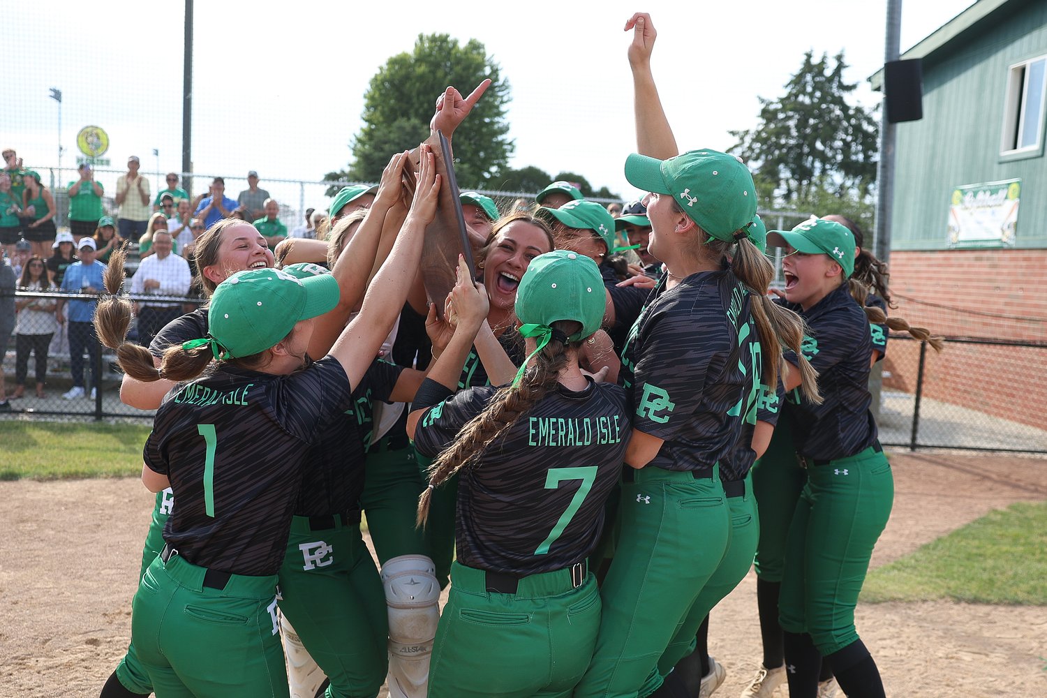 Providence’s Macie Robbins fires one-hitter to give Celtics sectional title over Morris