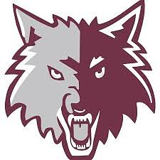 Prairie Ridge can’t solve Grayslake Central’s Beau Barrows in Class 3A regional final loss