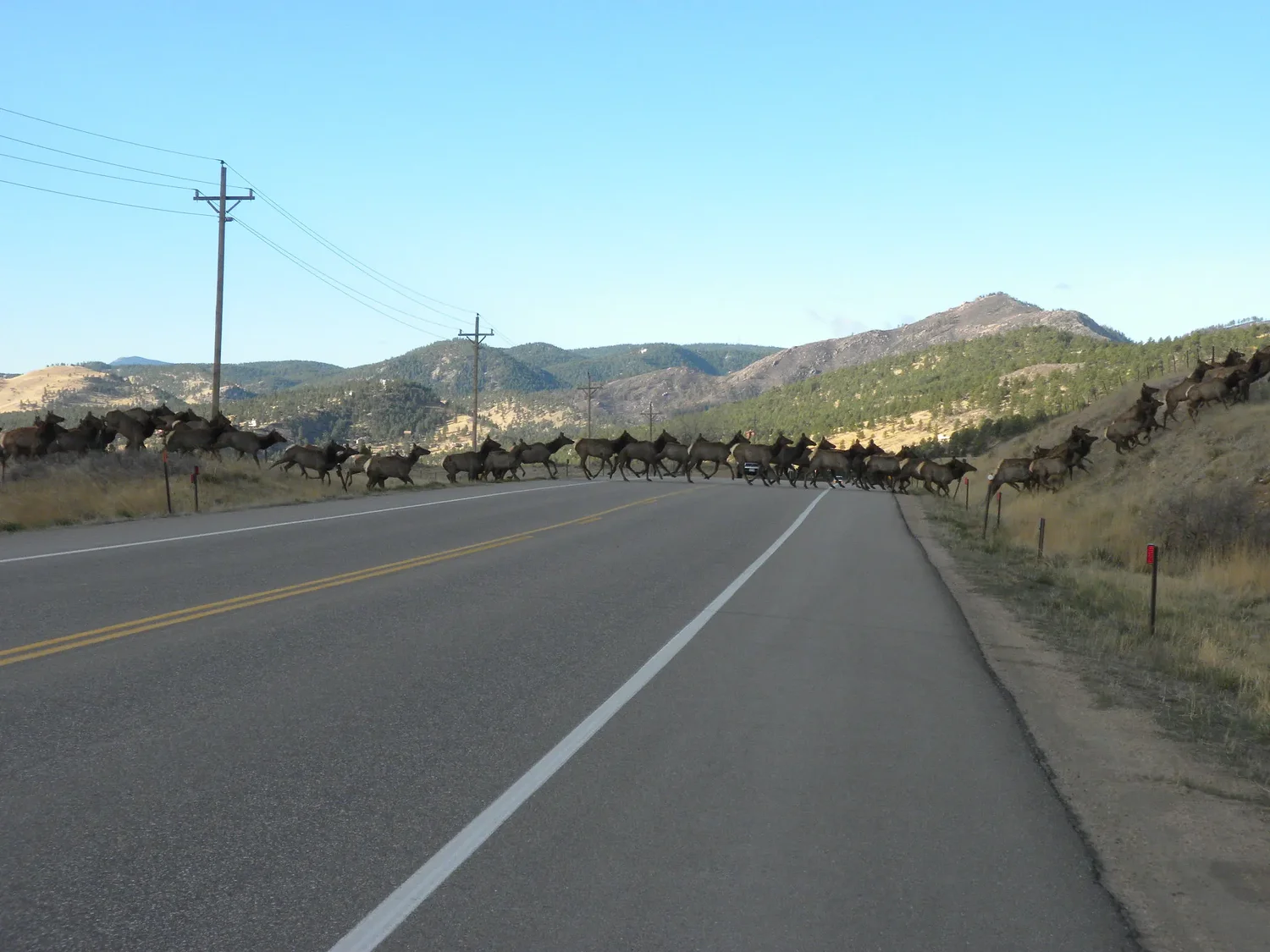 Boulder County advances wildlife crossing plans on U.S. 36 as Colorado nears new funding source