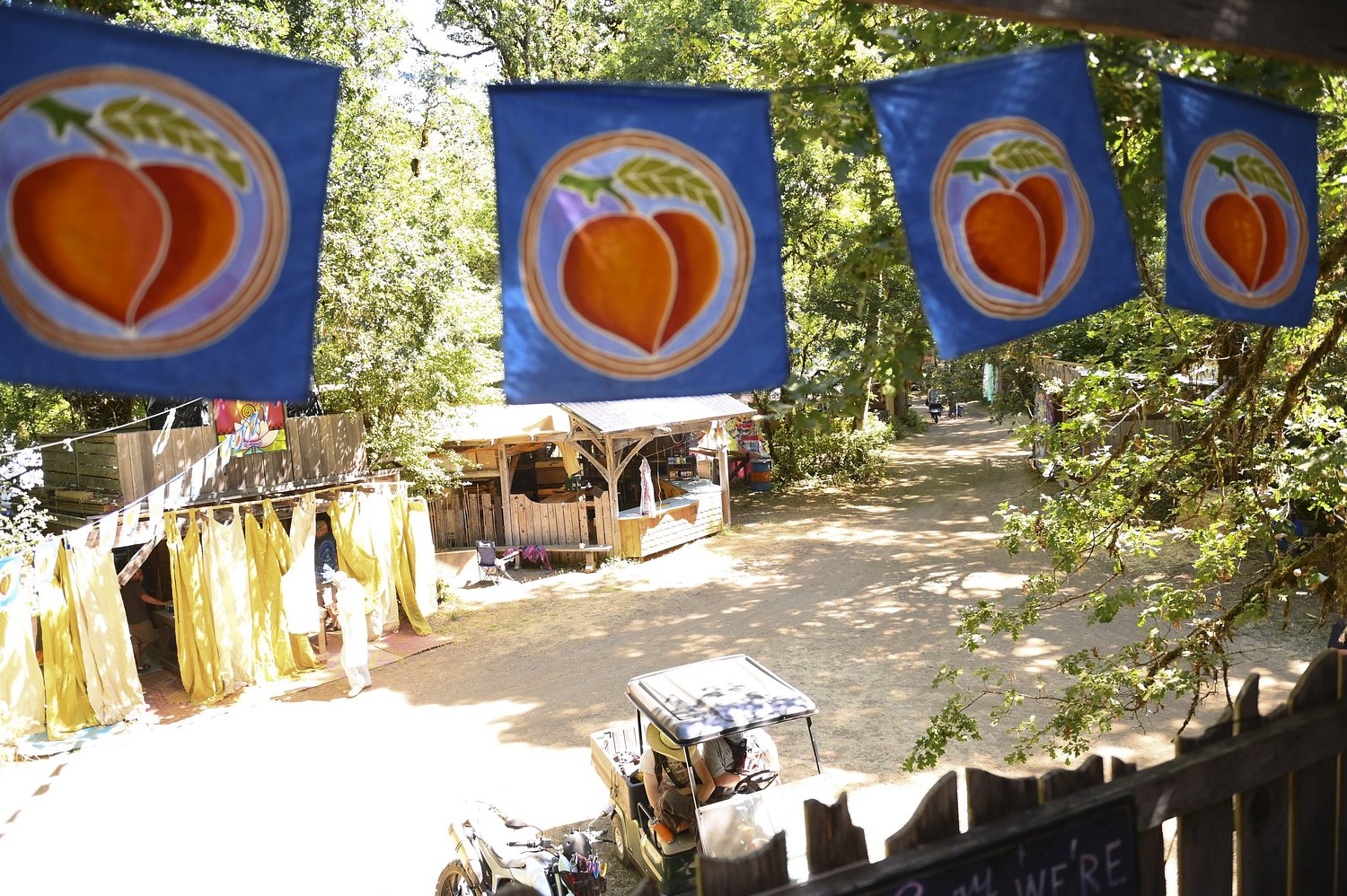 Man who recorded Oregon Country Fair shower area gets three years of probation
