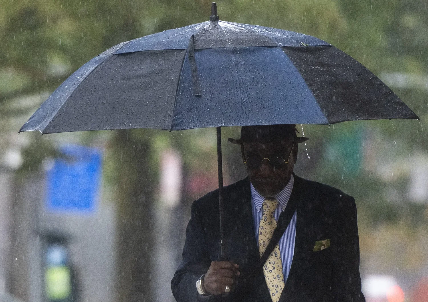 Photos: Rainy fall walk