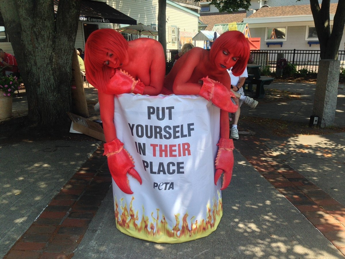 Judge tosses PETA's lawsuit against Rockland Lobster Festival