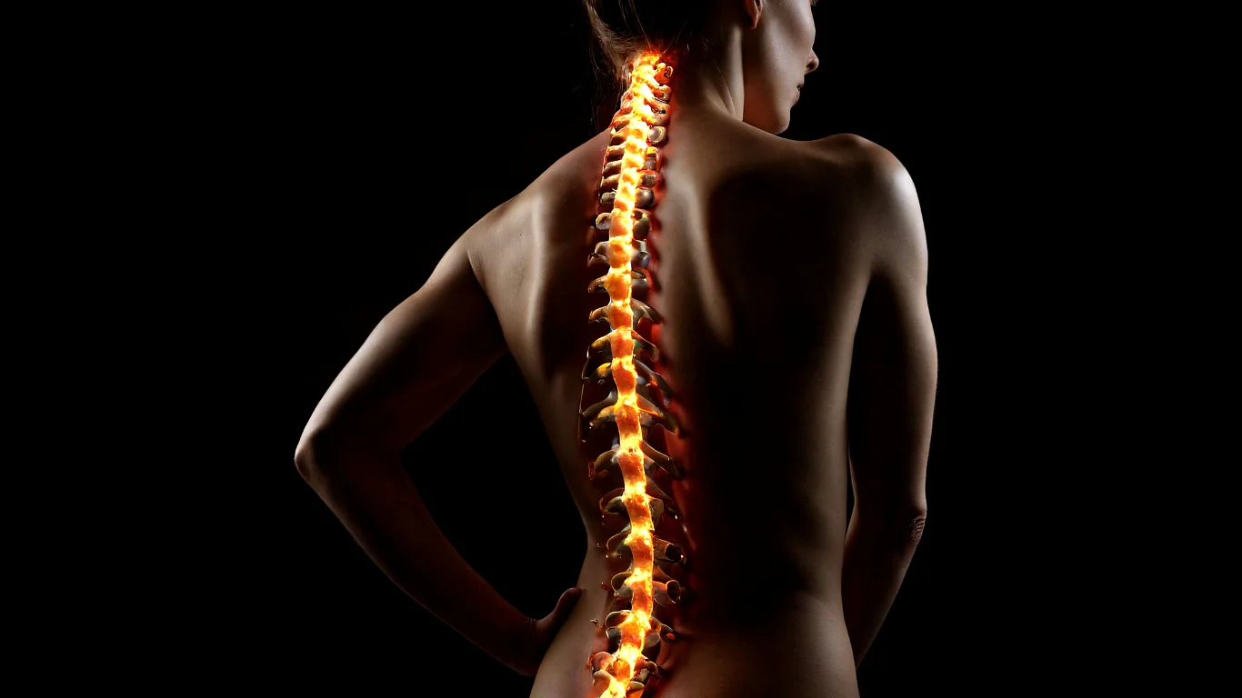 The Lumbar Disc Replacement Paradox