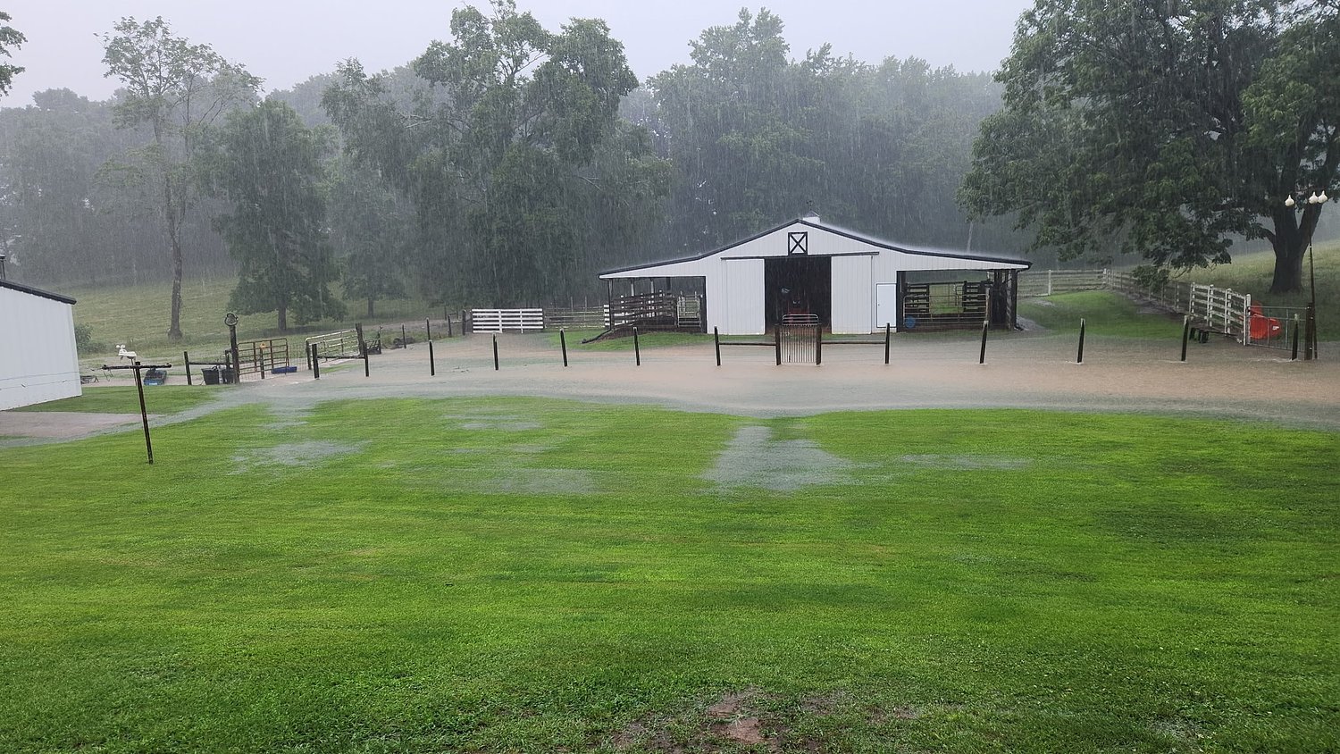 Flooding closes north Alabama roads as heavy rains drench area; animal hospital says horses are safe