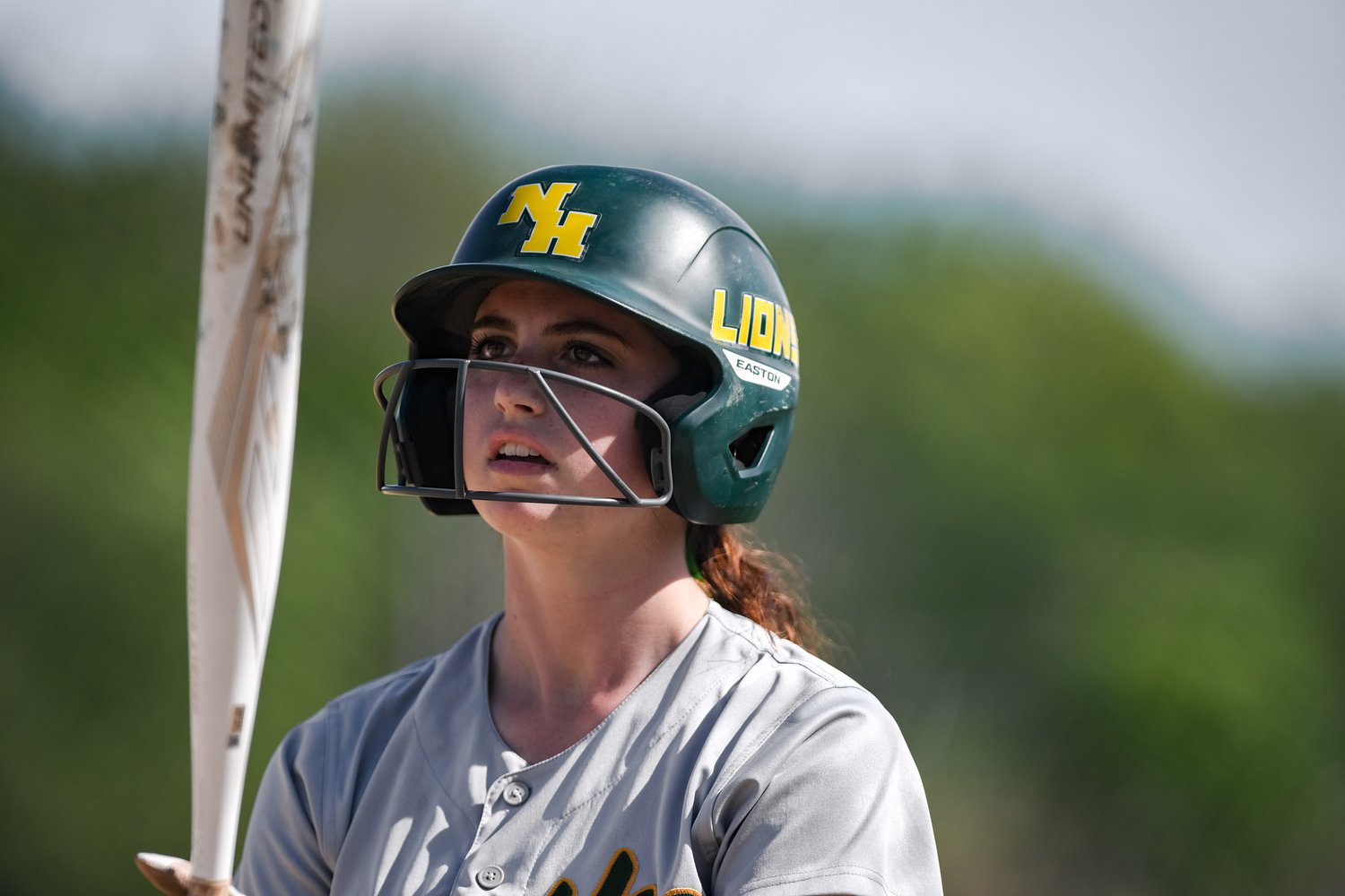 Penna makes them pay as North Hunterdon softball reaches state final