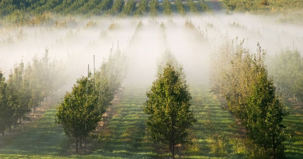 Poisoned ground: Dealing with Washington’s legacy of pesticides