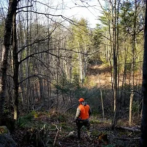 Bulletin Board: Shotgun Deer Hunting results from days 5, 6
