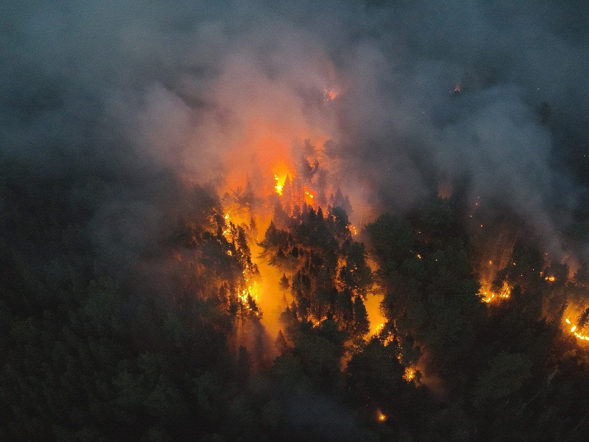 Maine Forest Service warns of spring wildfire risk