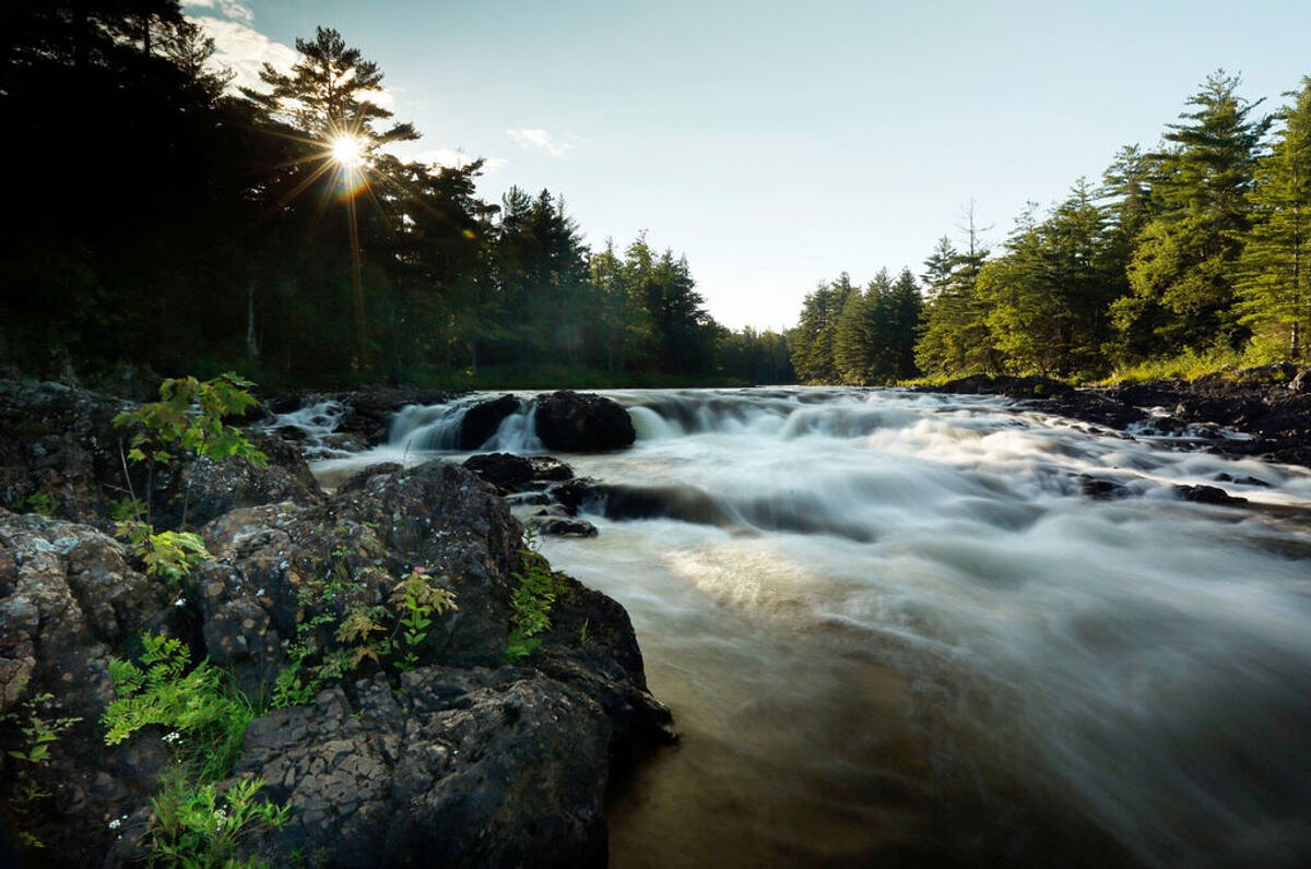 Maine doubles species covered by wildlife conservation plan