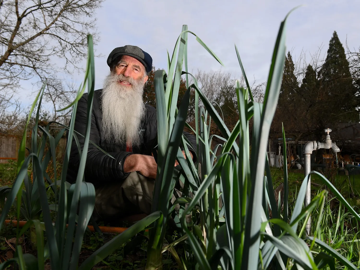 Growing vegetables: It starts with the soil