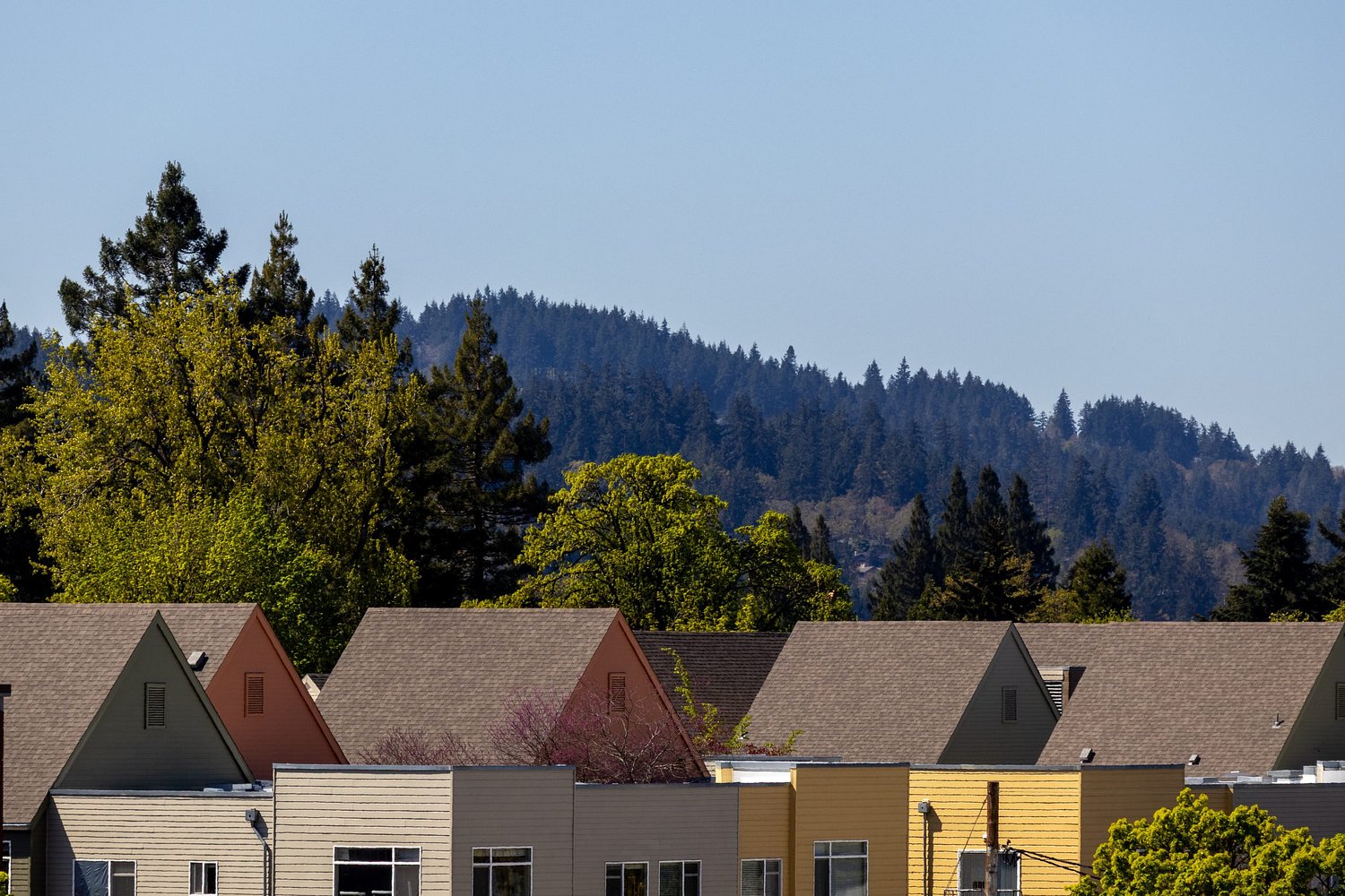 Rising homeowners insurance premiums cause sticker shock in Lane County