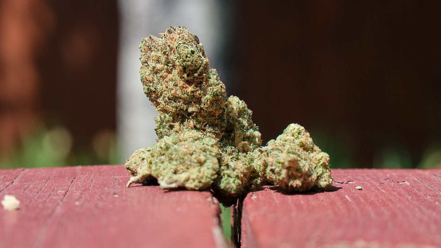 Great Falls’ first cannabis cultivation facility gets initial approval