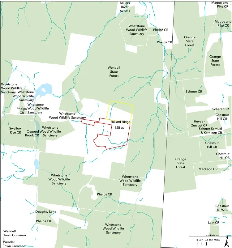 Mount Grace Land Trust gets $133,500 to protect 80 acres in Wendell