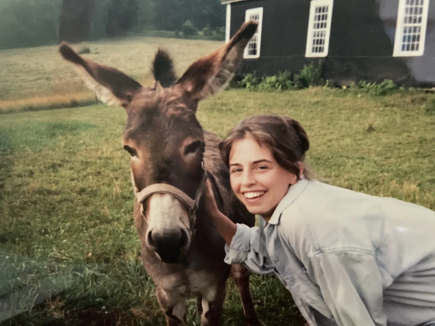 Art Notes: Woodstock show of late artist's work brings nature to life