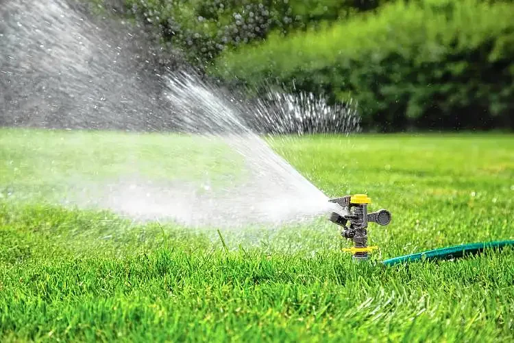 Greenfield mayor implements water use restrictions amid significant drought conditions