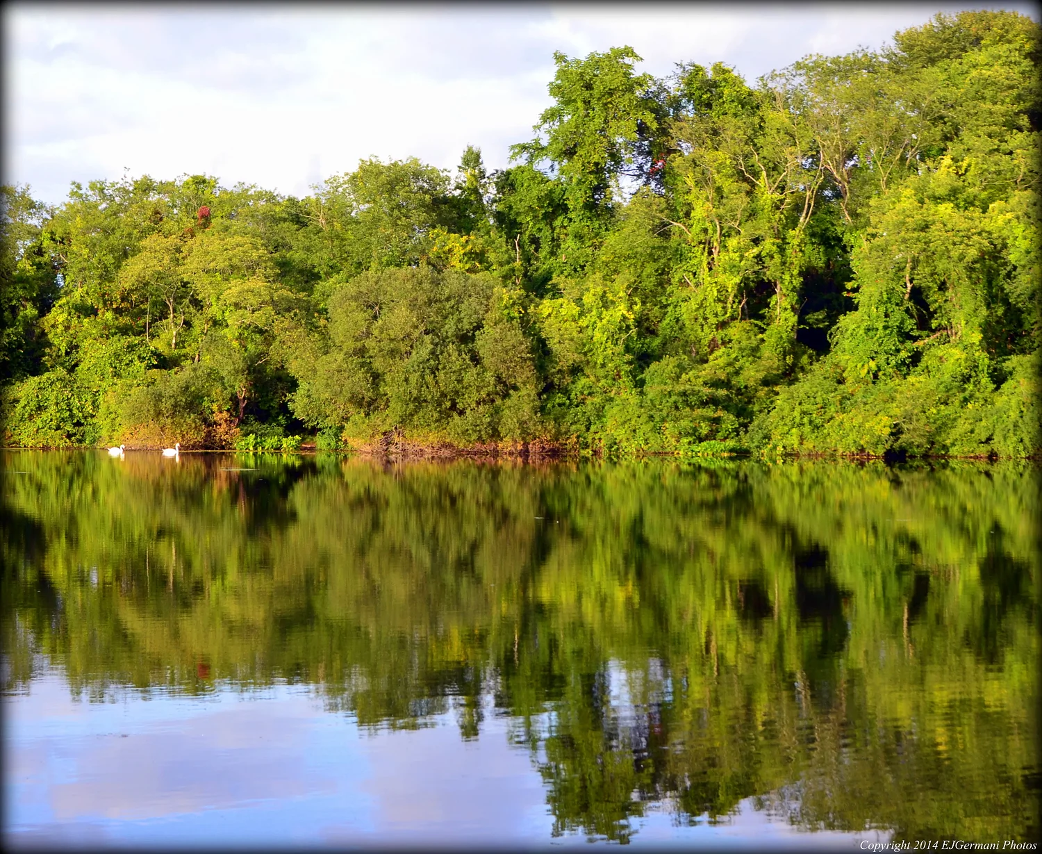 State health officials issue advisory for Portsmouth pond due to toxic algae bloom