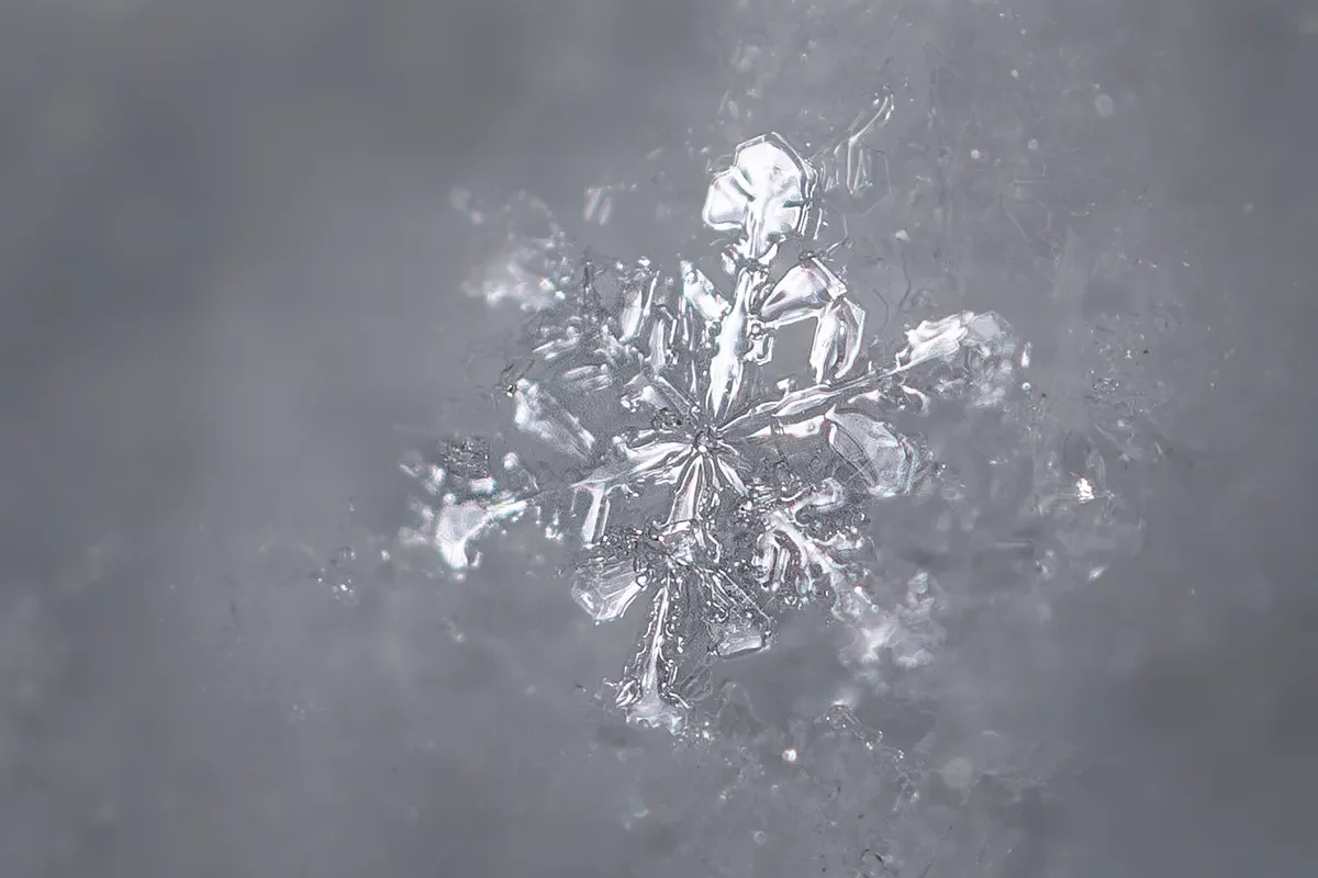 Practical tips for photographing snowflakes this winter