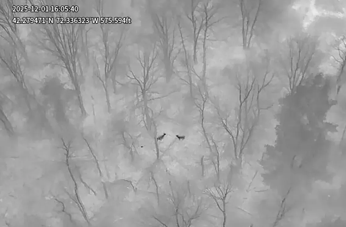 Drones provide precise deer count, justifying Quabbin Park hunt