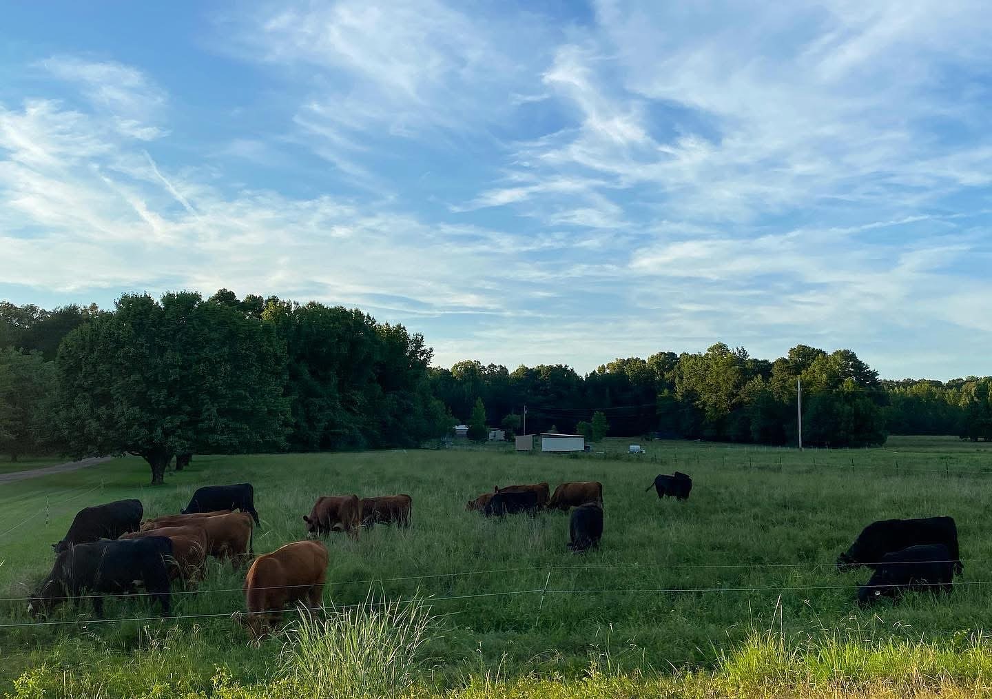 Neighbors say Lafayette County asphalt plant will harm community
