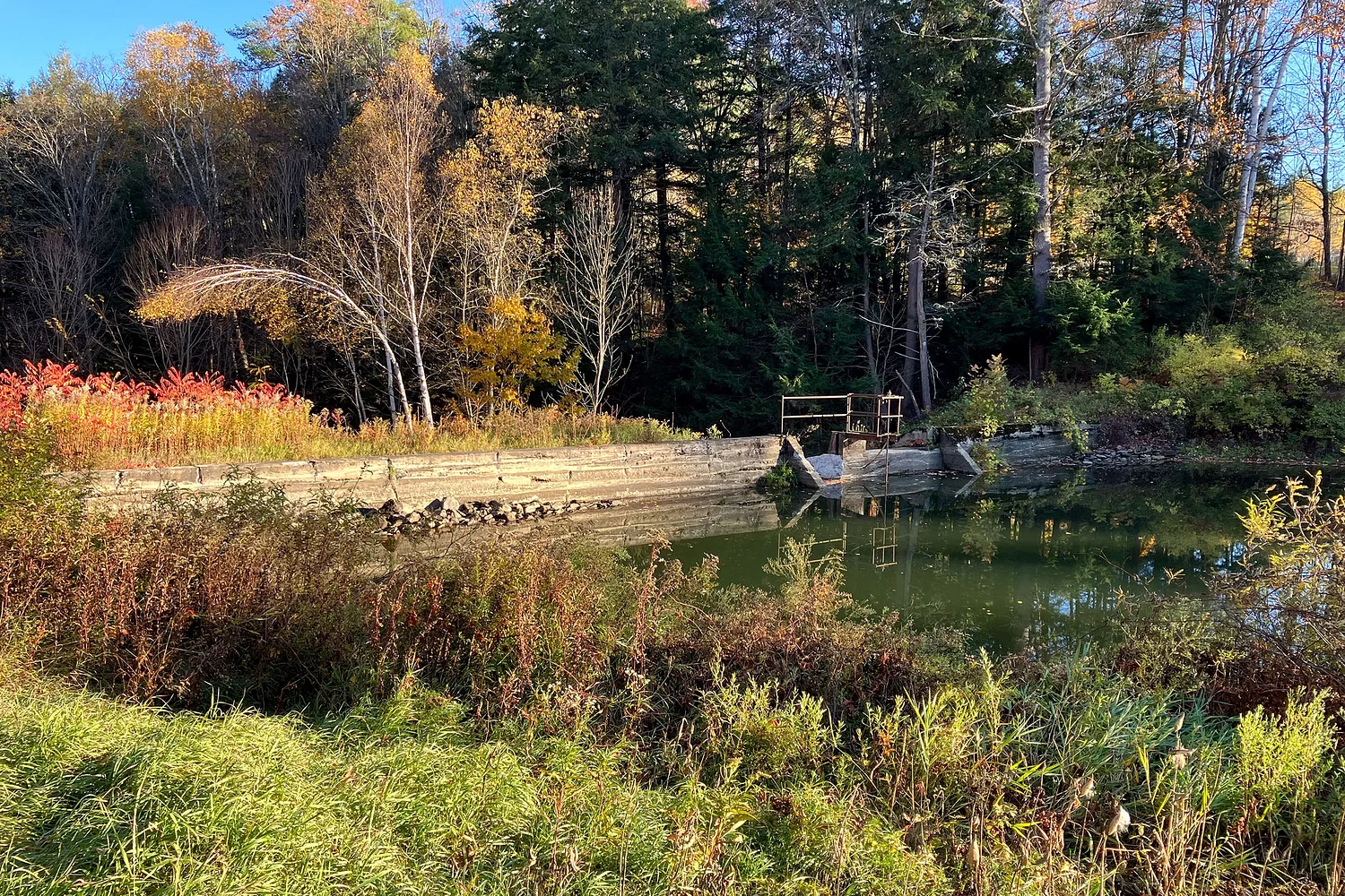 Vermont to remove hazardous dam at Windsor wildlife area
