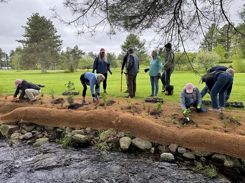 Little Lake Sunapee restoration effort aims to reduce cyanobacteria blooms