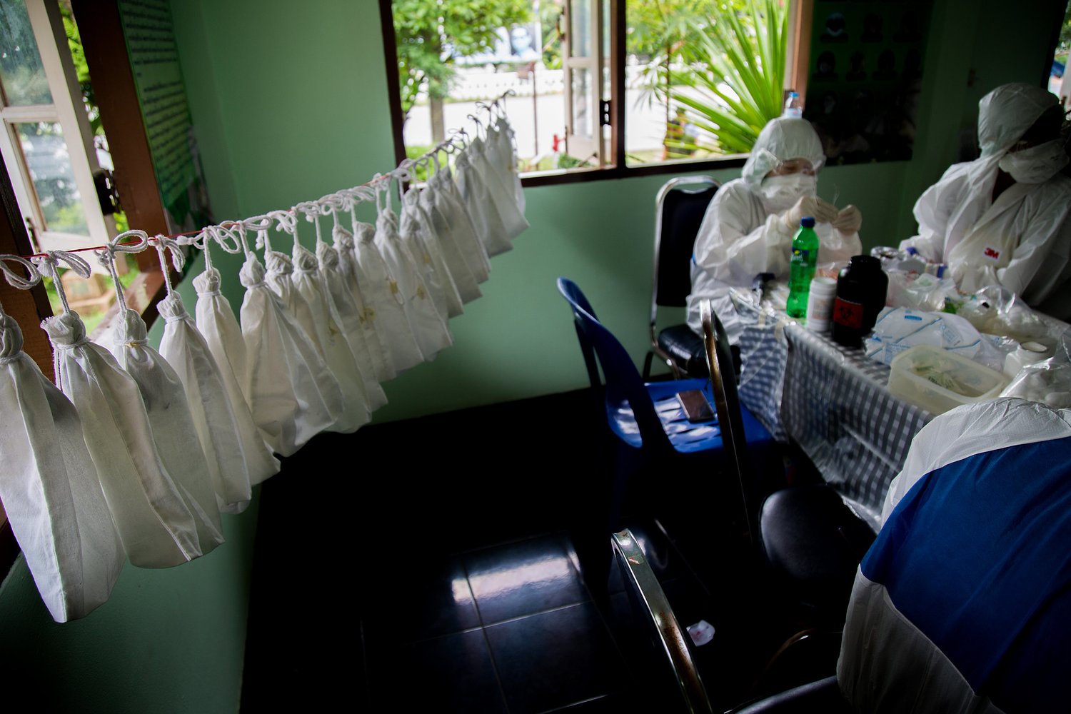 State Department, USAID endorsed novel virus project with China despite national security risks