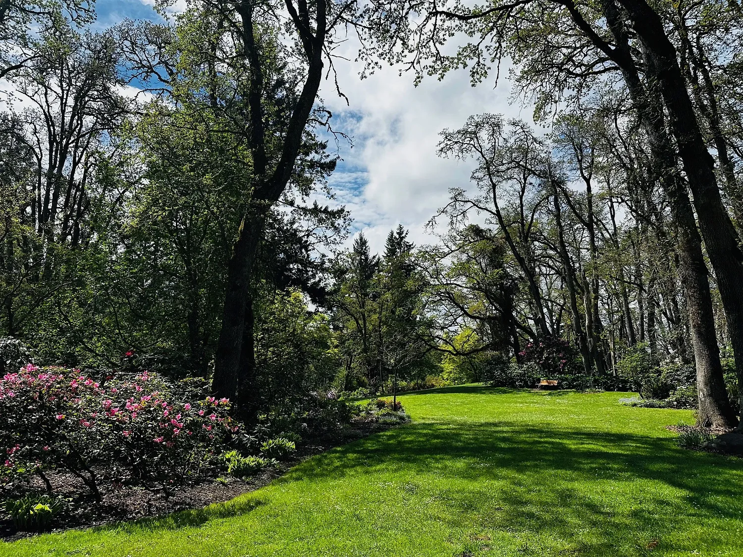 Eugene prepares for big Mother's Day crowds at Hendricks Park