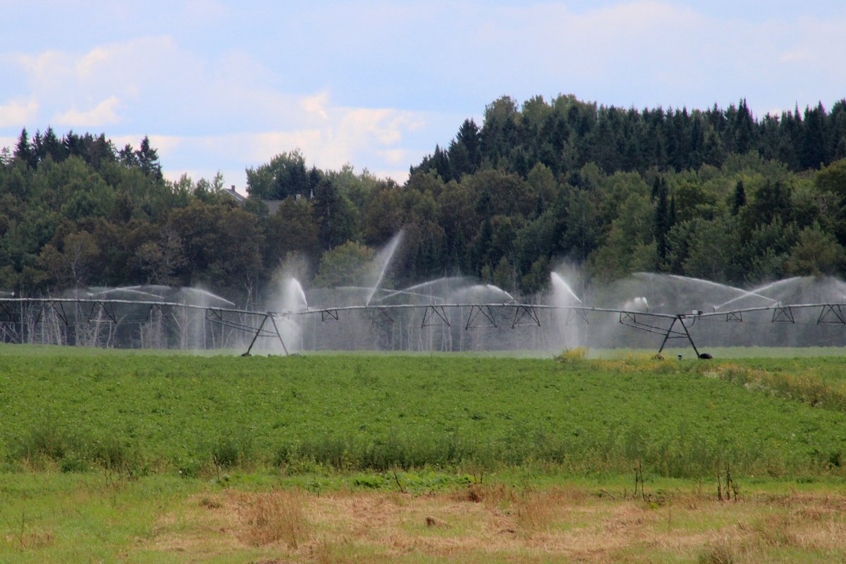 The USDA declares Maine drought a natural disaster
