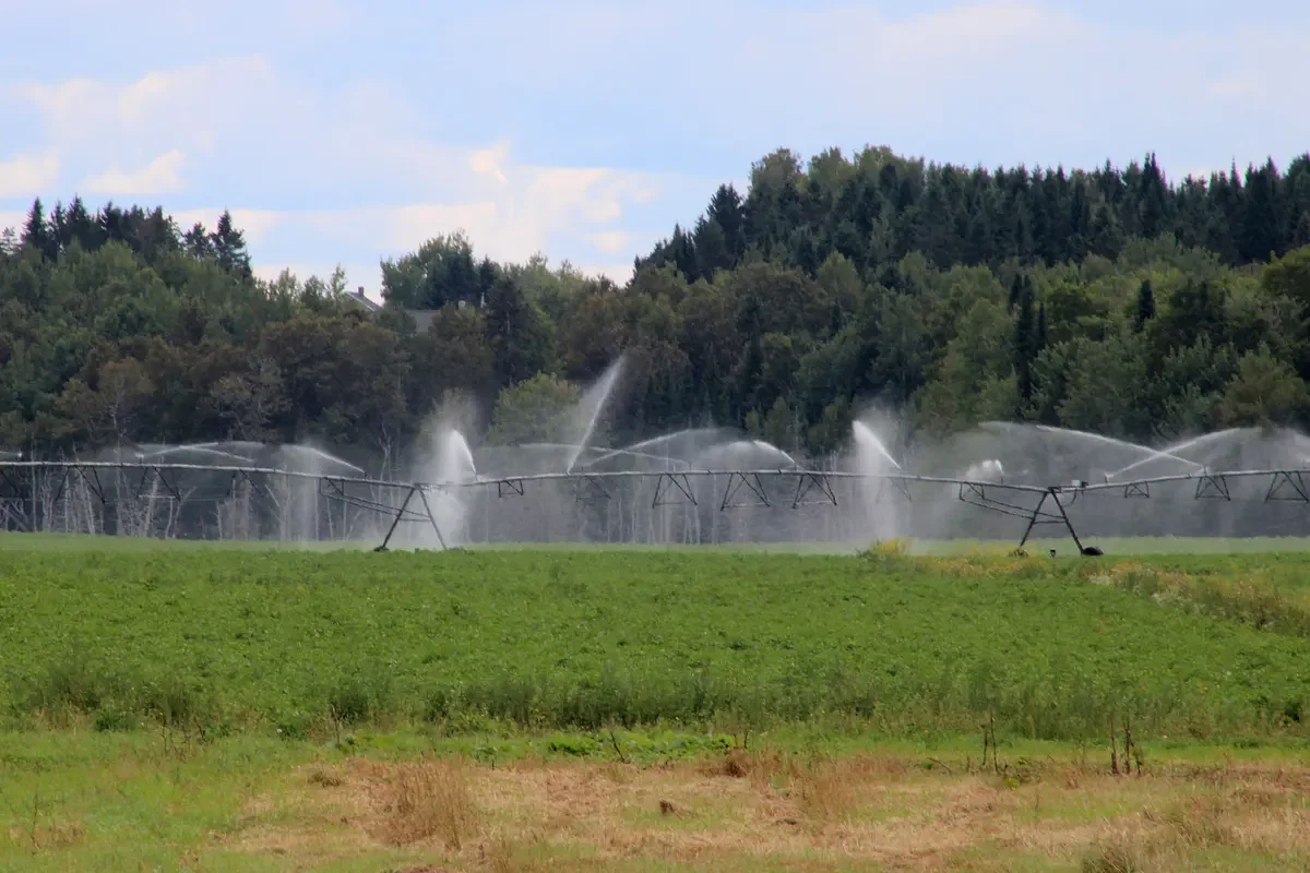 The USDA declares Maine drought a natural disaster