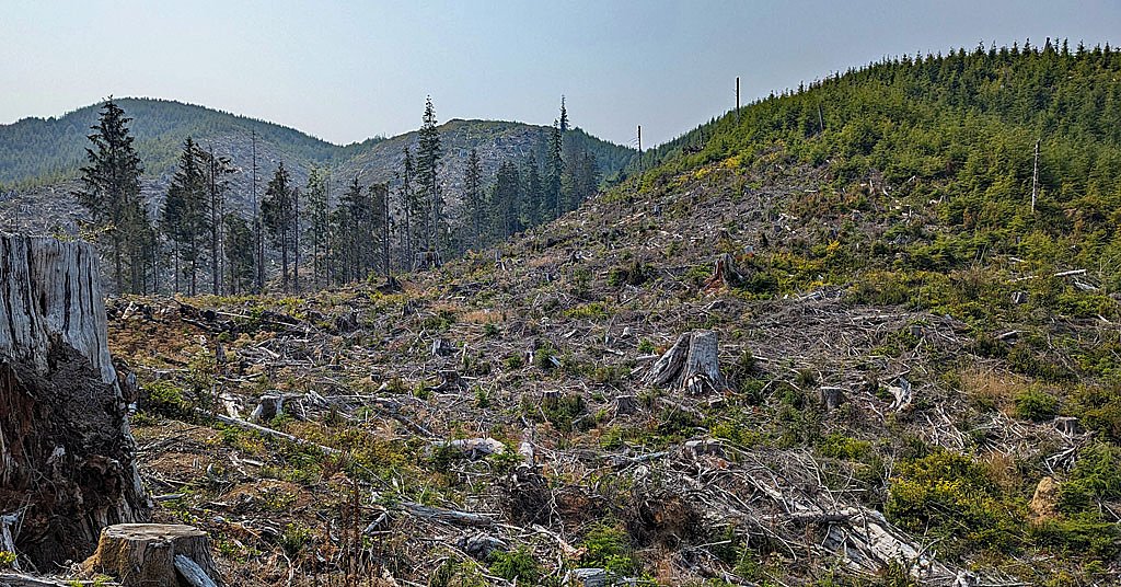 How intense logging degraded water at a popular Oregon Coast town