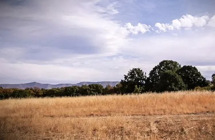 Yakama Nation Seeks Restoration of Land Lost Due to Historical Mistakes