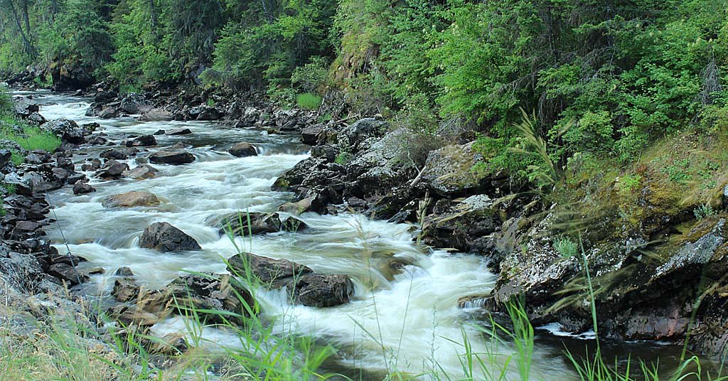 Idaho’s Clearwater River Basin added to ‘most endangered’ list
