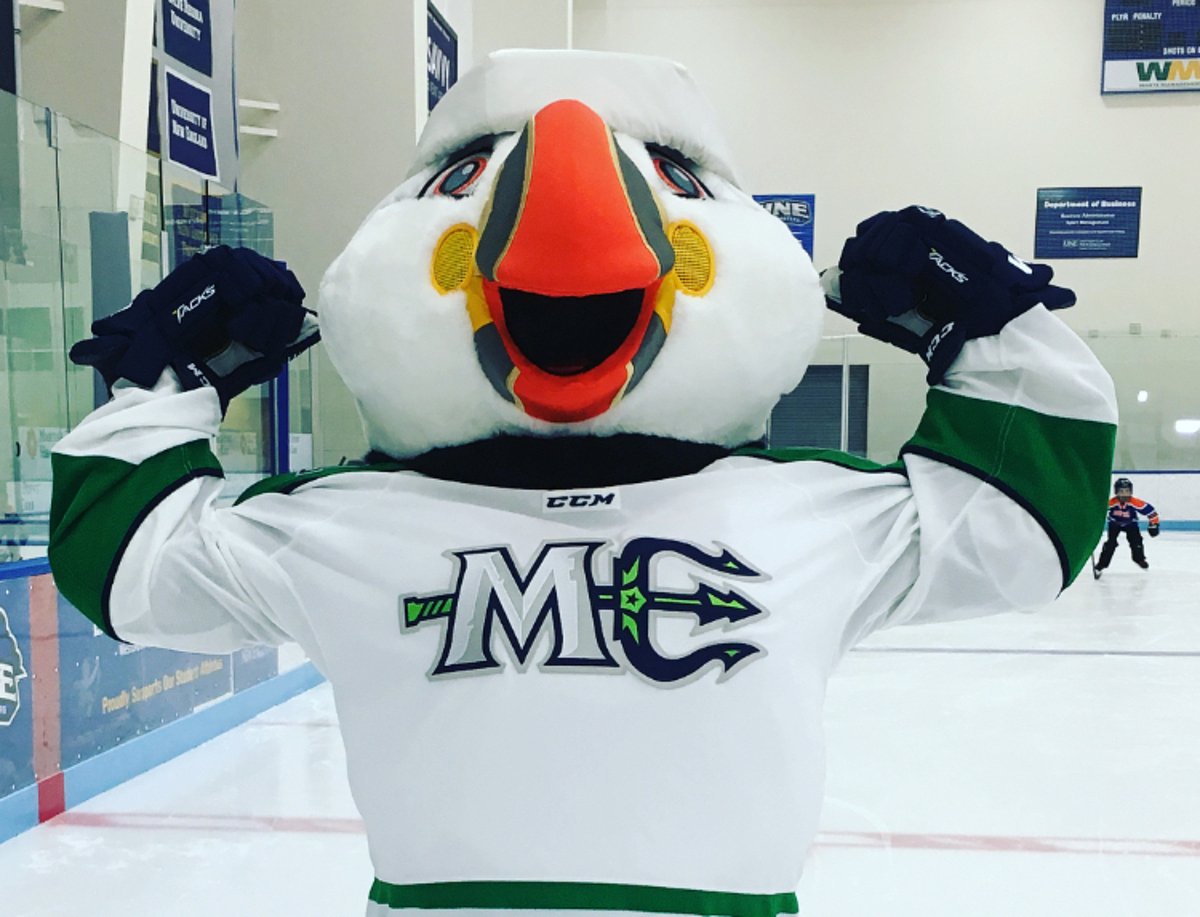 Minor league hockey strike ends with tentative deal