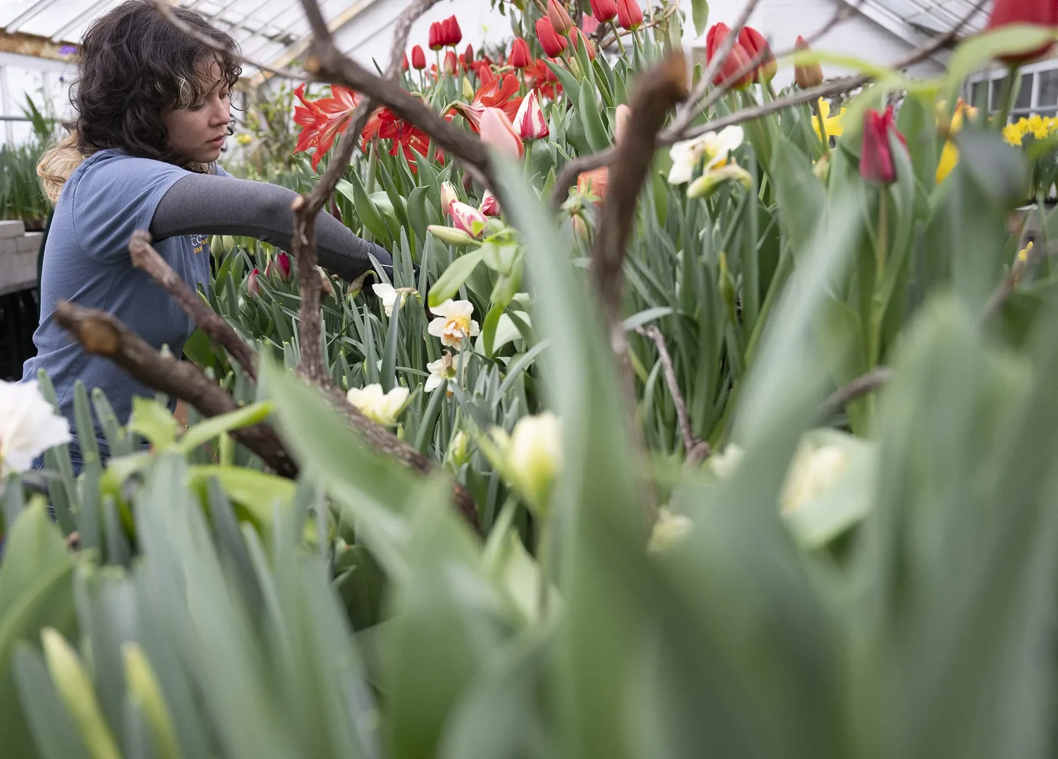 Photos: Signs of spring