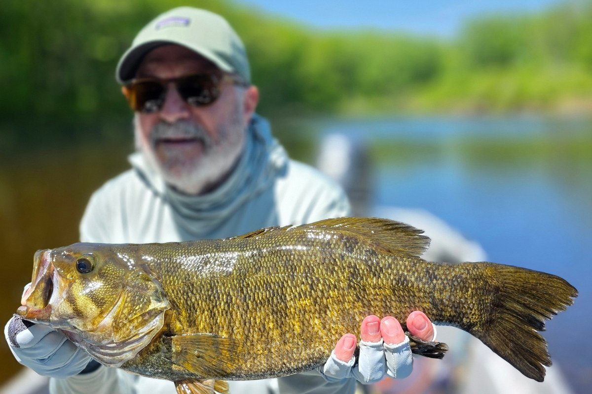 A Maine guide's summer fishing report: What anglers can expect
