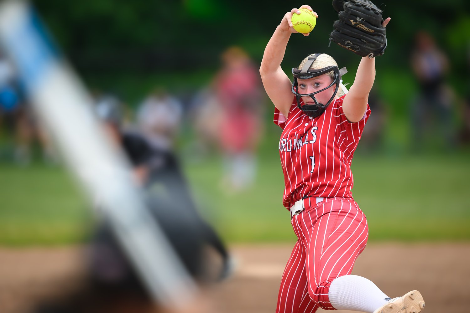 2026 all-Big Thumb Conference softball teams for White, Red, Blue and Black divisions