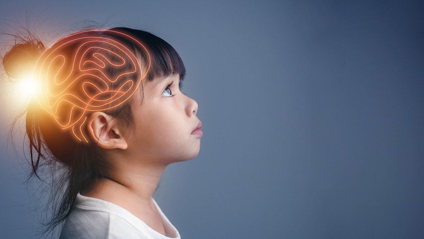 Air pollution may weaken children's brain connections, study shows
