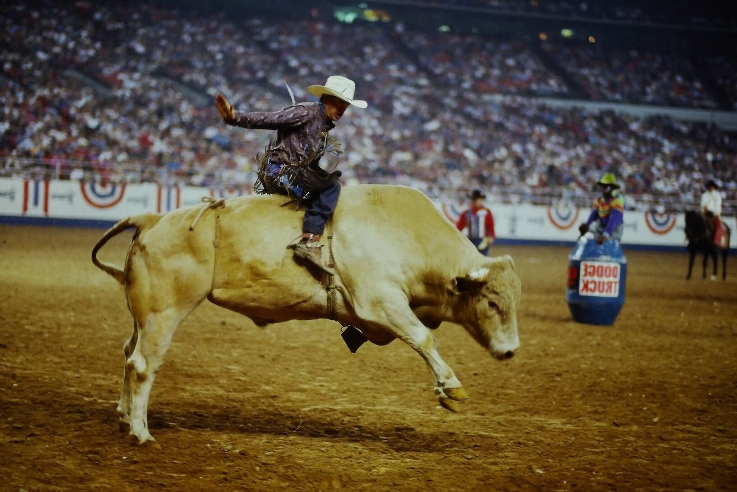 RodeoHouston inducts first animal athlete, Bodacious, into Hall of Fame