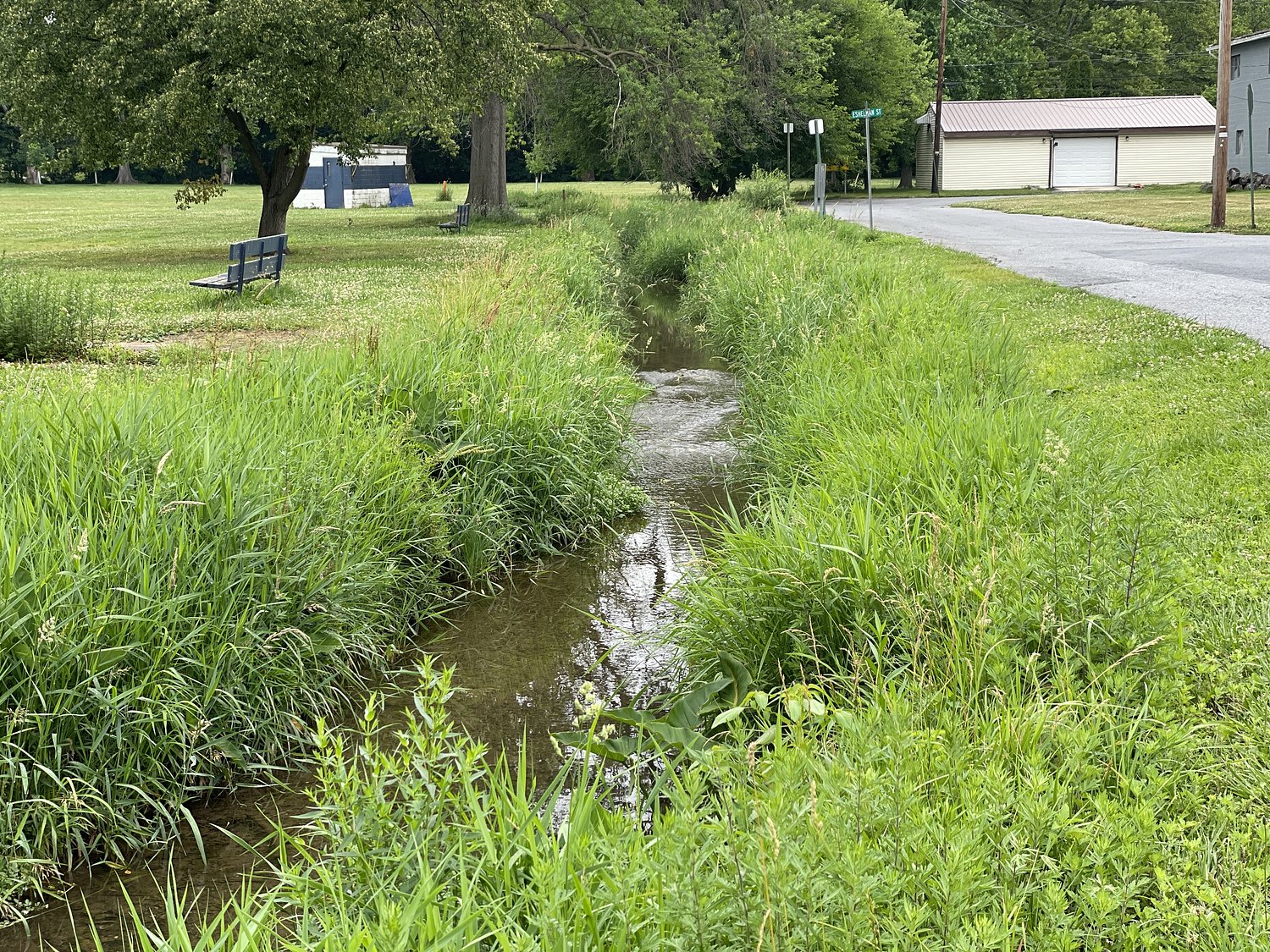 Woman in wheelchair found dead in Dauphin County creek